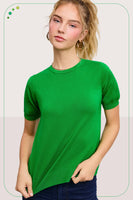 Puffy Sleeve Basic Stretchy Knit Top