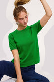 Puffy Sleeve Basic Stretchy Knit Top