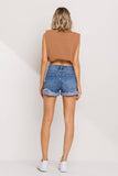 High Rise Distressed Shorts