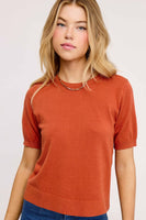Puffy Sleeve Basic Stretchy Knit Top