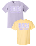Gingham Comfort Colors Printed School Tees