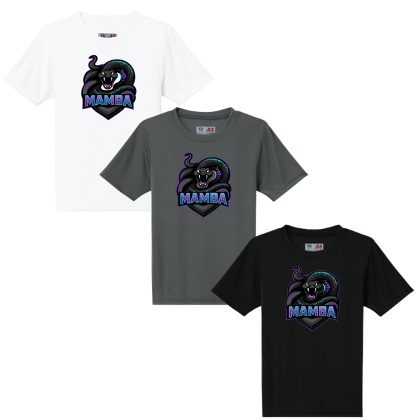 Mamba Athletics Short Sleeve and Long Sleeve Dri-Fit Shirt