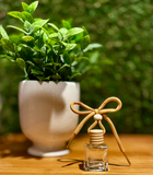 Mahogany Teakwood Car Diffuser
